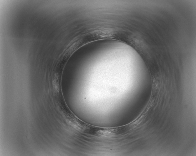 X0000061100170200511210916