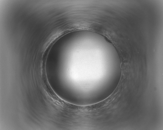X0000061100194200511210916
