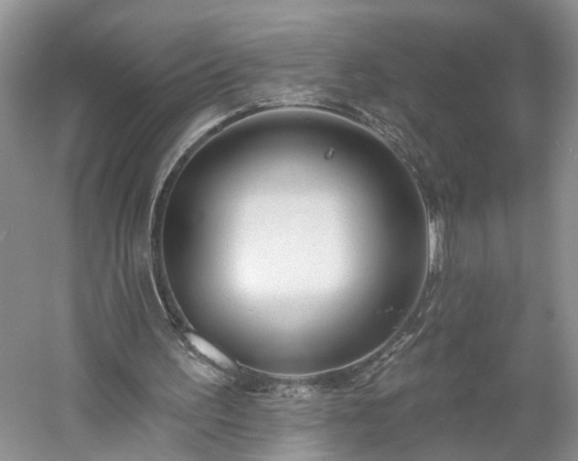 X0000061100195200511210916