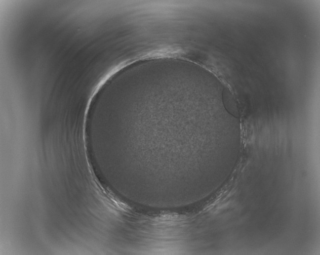 X0000061100196200511210916
