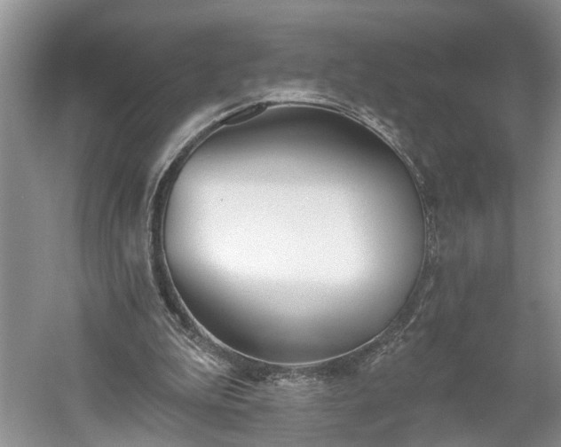 X0000061100199200511210916