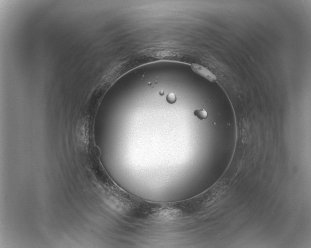 X0000061100210200511210916