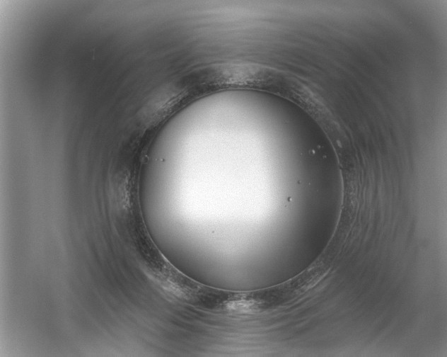 X0000061100216200511210916