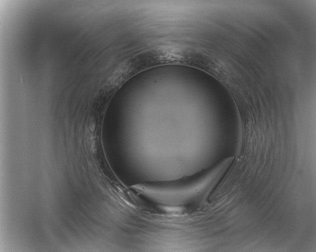 X0000061100223200511210916