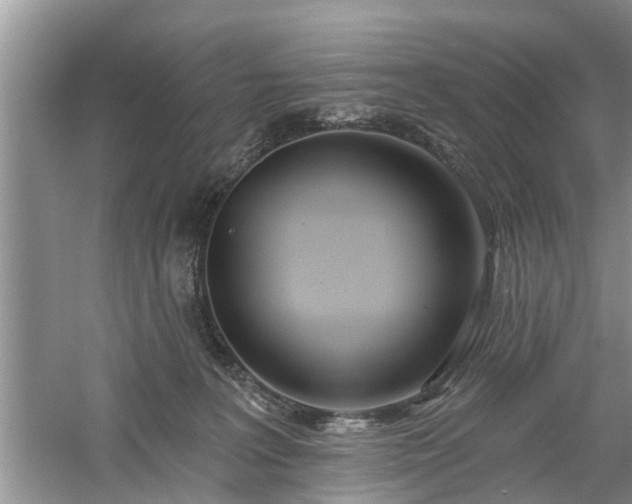 X0000061100227200511210915