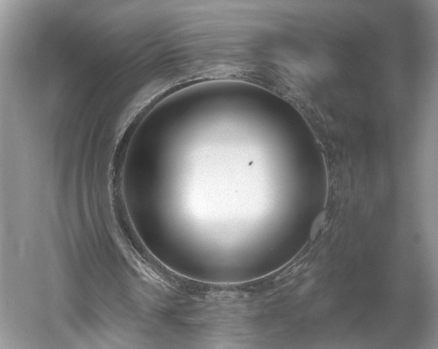 X0000061100242200511210914