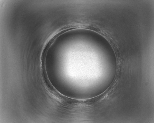 X0000061100246200511210914