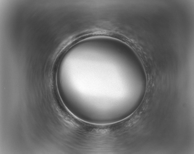 X0000061100247200511210914