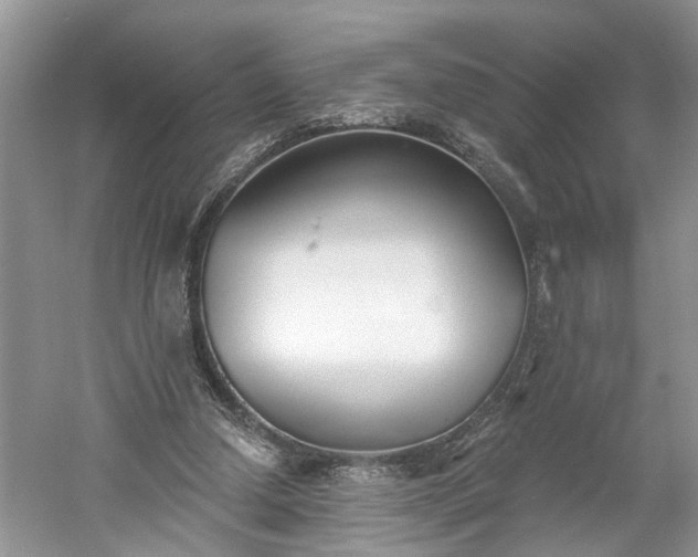 X0000061100250200511210915