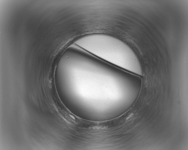 X0000061100251200511210915