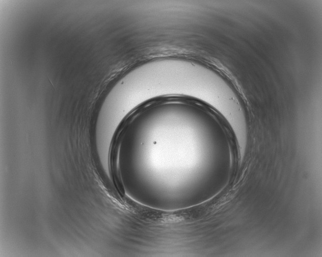 X0000061100257200511210915