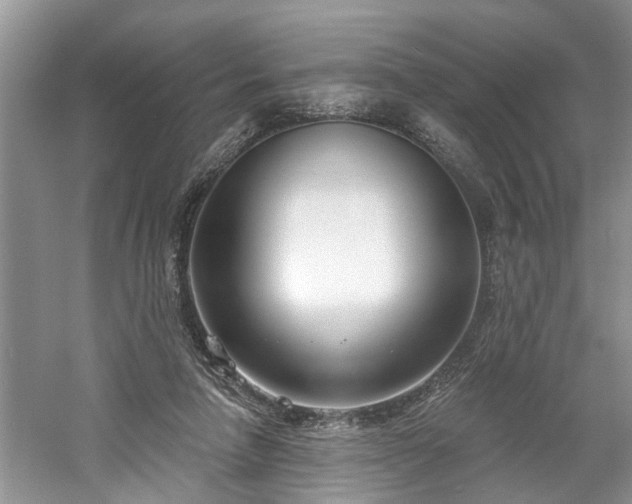 X0000061100258200511210915