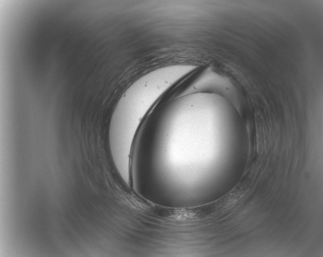 X0000061100278200511210915