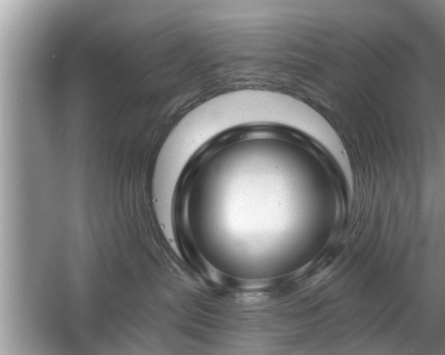 X0000061100287200511210915
