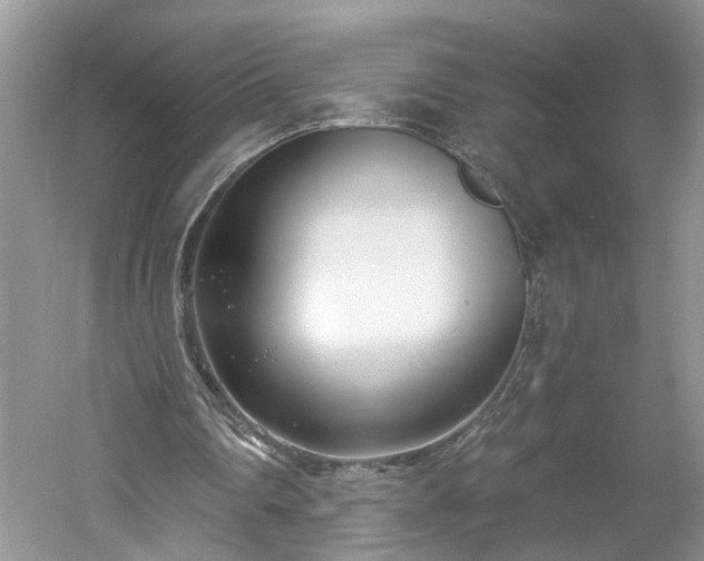 X0000061100290200511210914