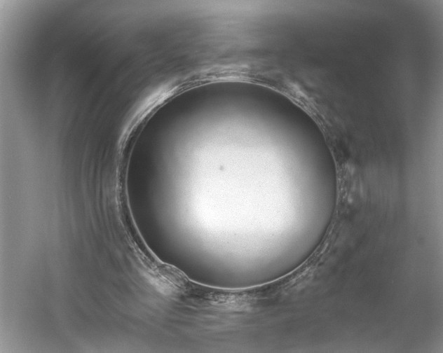 X0000061100293200511210914