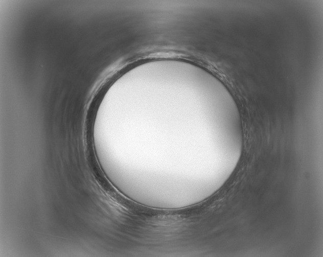 X0000061100296200511210914