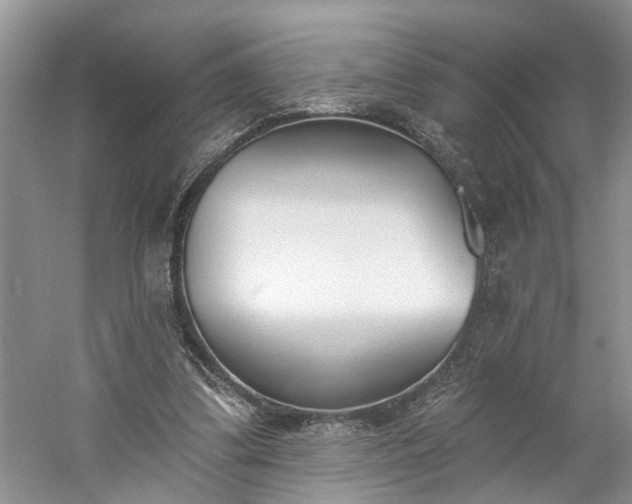 X0000061100299200511210914