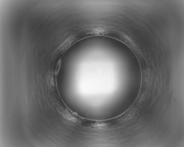 X0000061100313200511210914