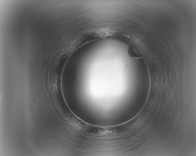 X0000061100315200511210914