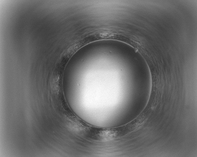 X0000061100319200511210914