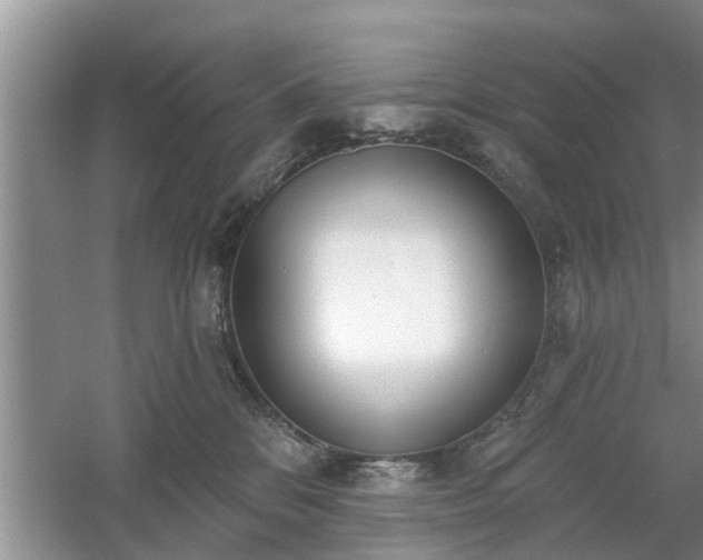 X0000061100328200511210914