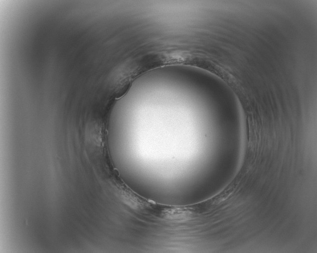 X0000061100331200511210914