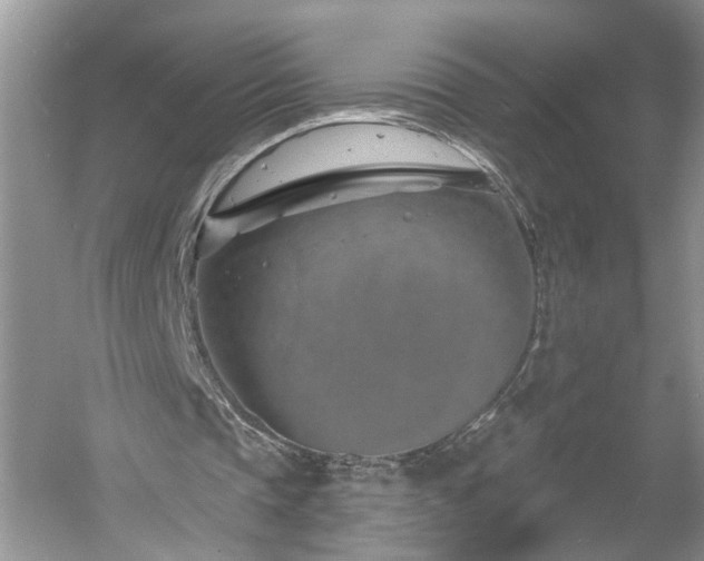 X0000061100337200511210913