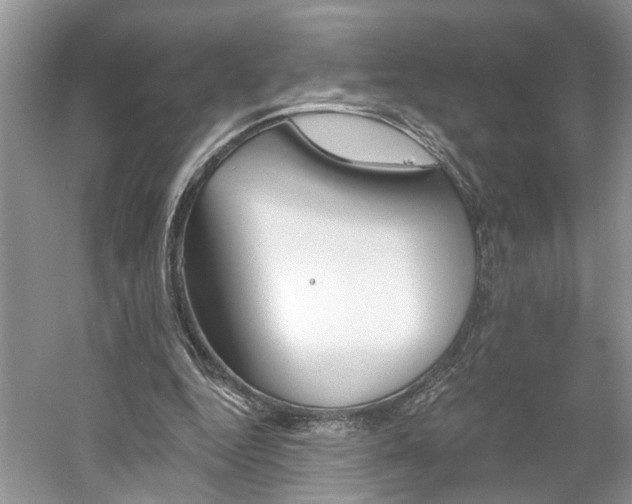 X0000061100344200511210913