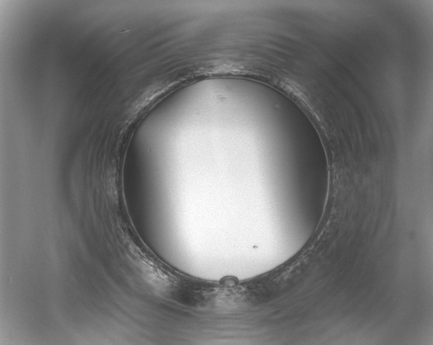 X0000061100345200511210913