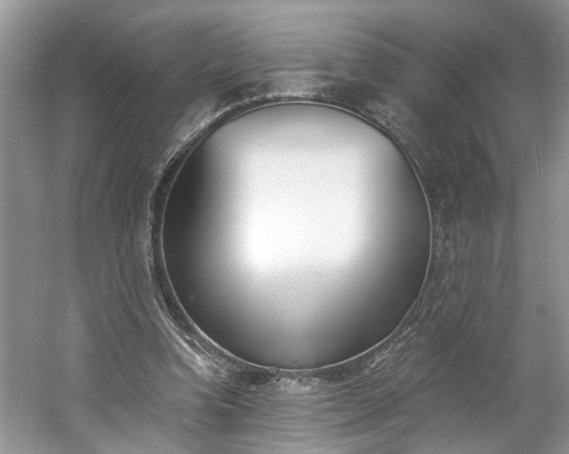 X0000061100346200511210913