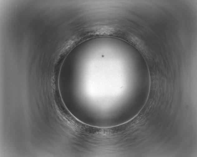 X0000061100354200511210913