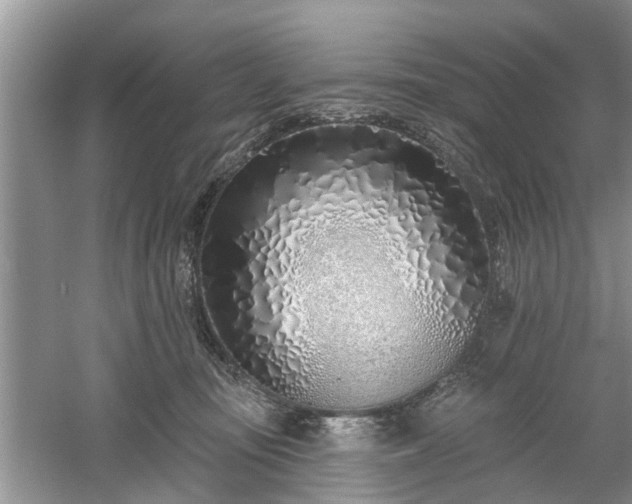 X0000061100371200511210913