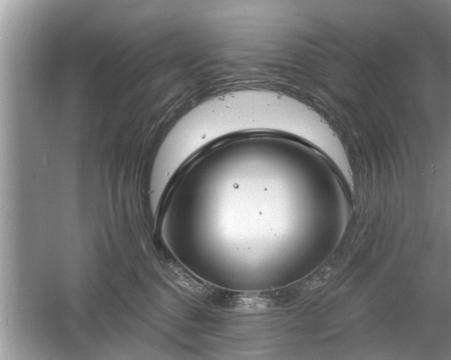 X0000061100376200511210913