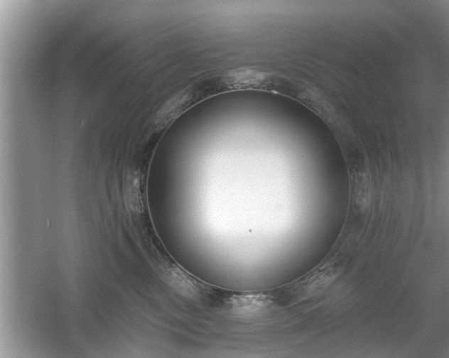 X0000061100378200511210913