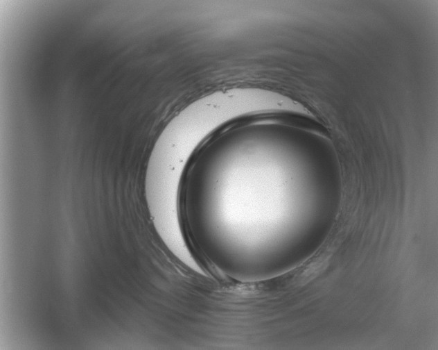 X0000061100384200511210914