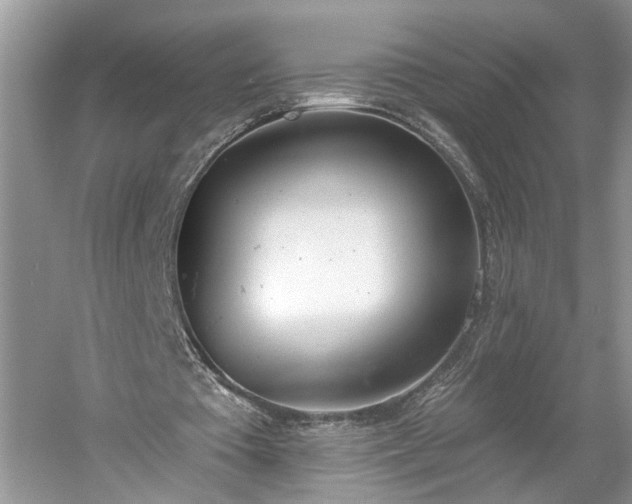 X0000061100385200511210913