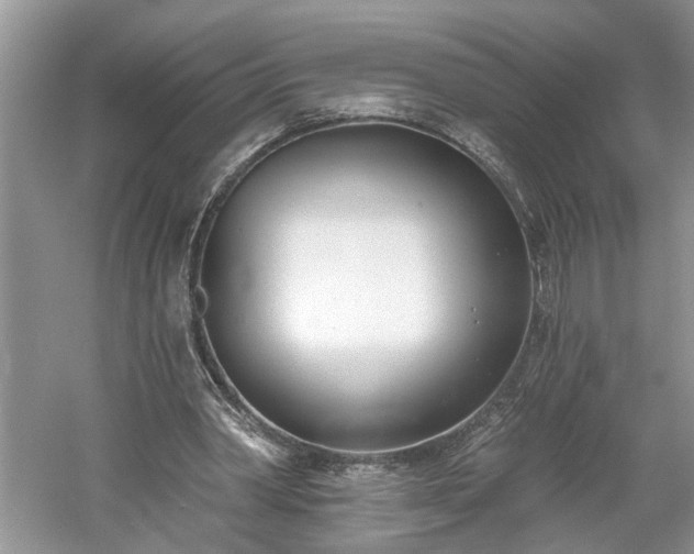 X0000061100390200511210913