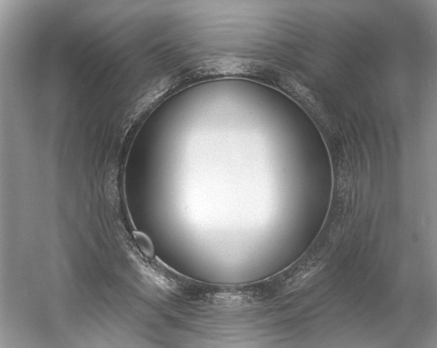 X0000061100394200511210913