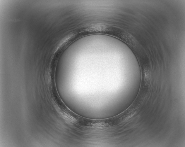 X0000061100396200511210913