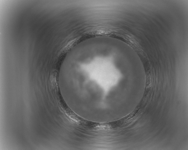 X0000061100415200511210912