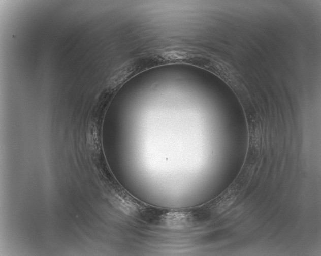 X0000061100418200511210912