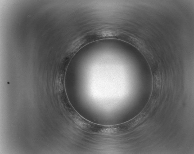 X0000061100422200511210912