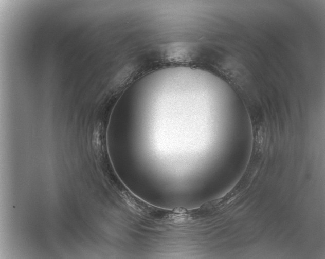 X0000061100424200511210912