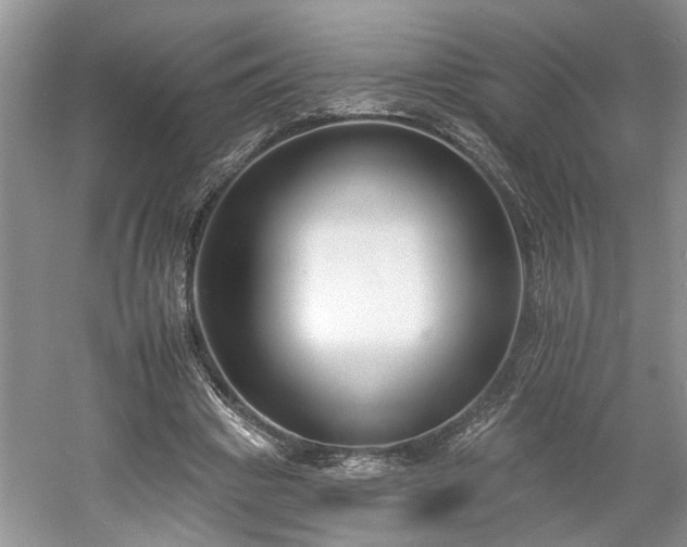 X0000061100441200511210911