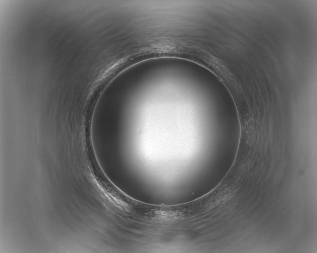 X0000061100442200511210911