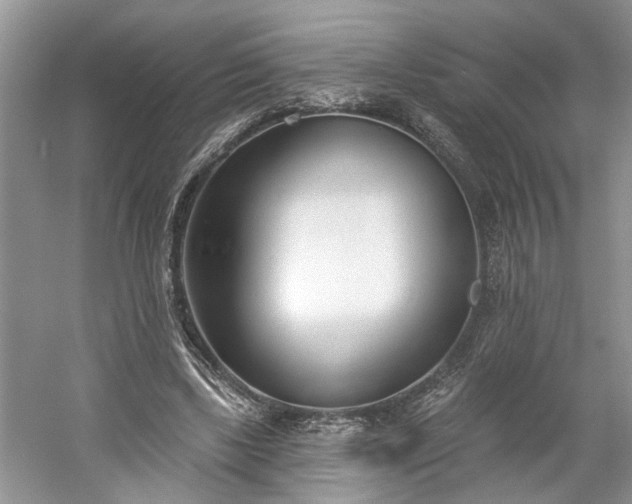 X0000061100443200511210911