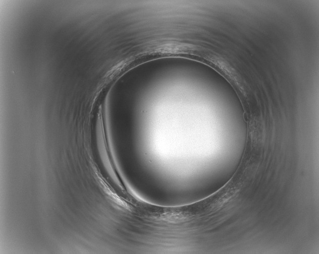 X0000061100445200511210911