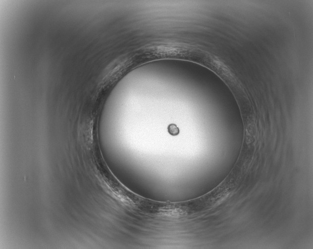 X0000061100454200511210911