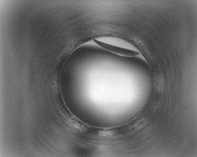 X0000061100457200511210911